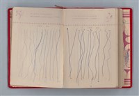 主要名稱：黛綠年華 DIARY （育兒紀錄）圖檔，第185張，共197張