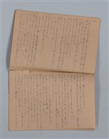 主要名稱：鳳凰木（下）（筆記簿）圖檔，第22張，共31張