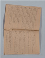 主要名稱：鳳凰木（下）（筆記簿）圖檔，第23張，共31張