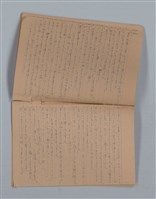 主要名稱：鳳凰木（下）（筆記簿）圖檔，第24張，共31張