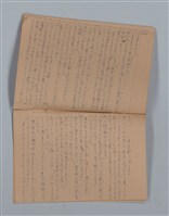 主要名稱：鳳凰木（下）（筆記簿）圖檔，第25張，共31張