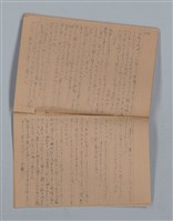 主要名稱：鳳凰木（下）（筆記簿）圖檔，第26張，共31張