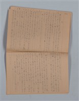 主要名稱：鳳凰木（下）（筆記簿）圖檔，第28張，共31張