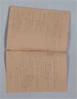 主要名稱：鳳凰木（下）（筆記簿）圖檔，第29張，共31張