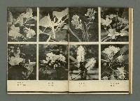 期刊名稱：民俗臺灣2卷10號通卷16號圖檔，第17張，共33張