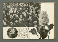 期刊名稱：民俗臺灣3卷9號通卷27號圖檔，第18張，共37張