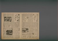 報紙名稱：臺灣新民報 995號（1933-11-26）圖檔，第2張，共7張