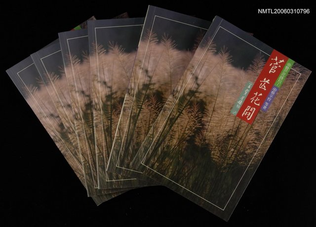 主要名稱：菅芒花開圖檔，第1張，共2張