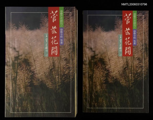 主要名稱：菅芒花開圖檔，第2張，共2張