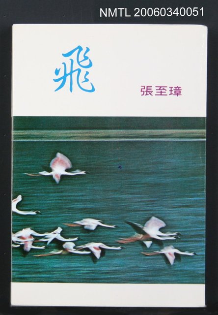 主要名稱：飛圖檔，第1張，共1張