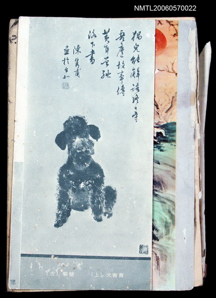 主要名稱：皇冠 26卷6期 總號156圖檔，第1張，共2張