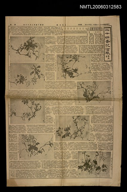 主要標題：二十四番花信風圖檔，第1張，共1張