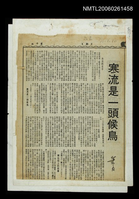 主要標題：寒流是一頭候鳥/報紙名稱：民眾日報圖檔，第1張，共1張