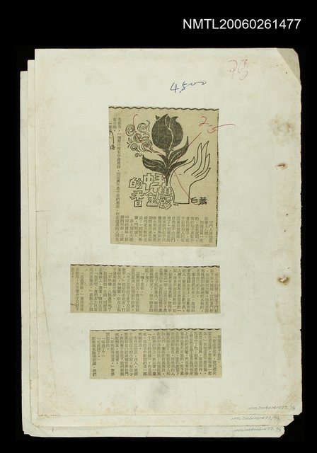主要標題：手中的鬰金香圖檔，第1張，共1張