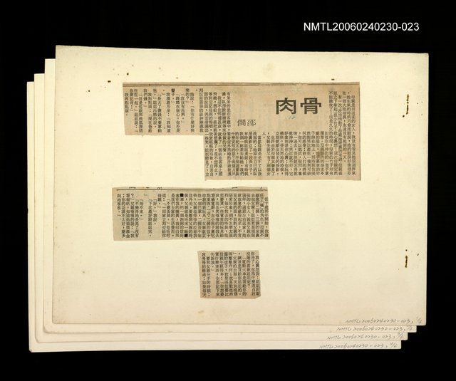 主要標題：「我飛」等篇剪輯：骨肉圖檔，第1張，共1張