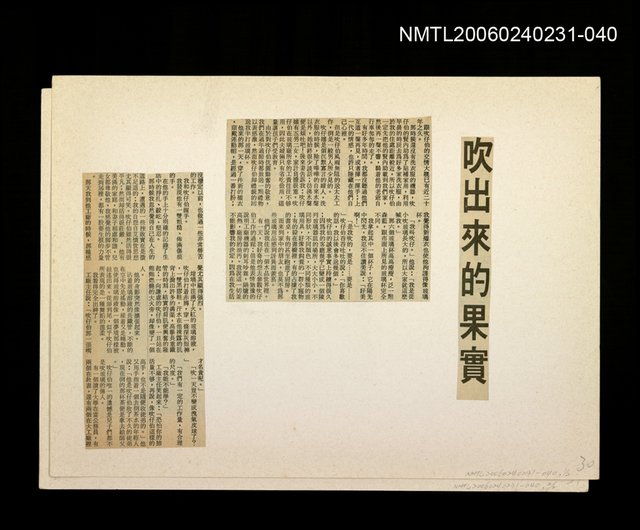 主要標題：「奔雨」等篇剪輯：吹出來的果實圖檔，第1張，共1張