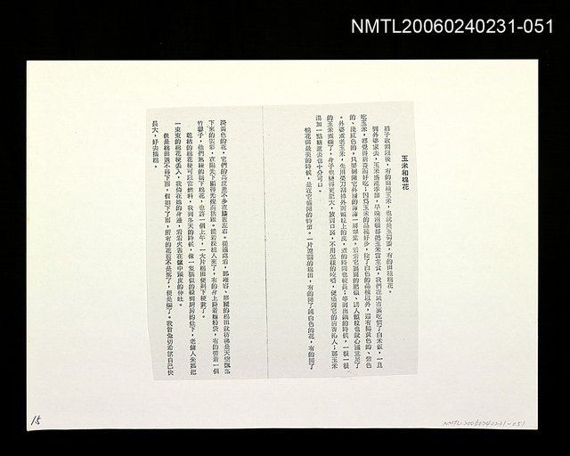 主要名稱：「奔雨」等篇剪輯：玉米和棉花〈影本〉圖檔，第1張，共1張