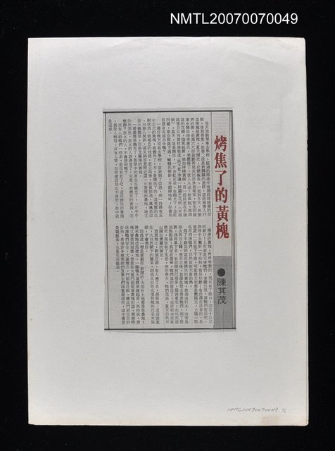 主要標題：烤焦了的黃槐圖檔，第1張，共1張