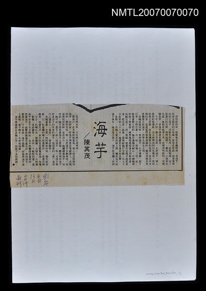 主要標題：海芋/報紙名稱：台灣副刊圖檔，第1張，共1張