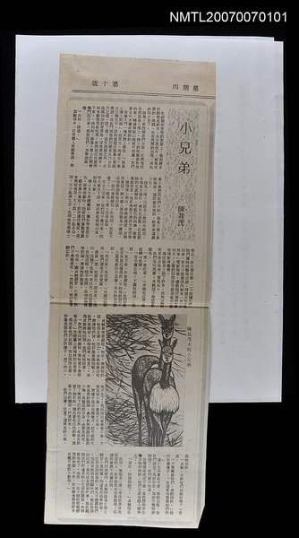 主要標題：小兄弟圖檔，第1張，共1張