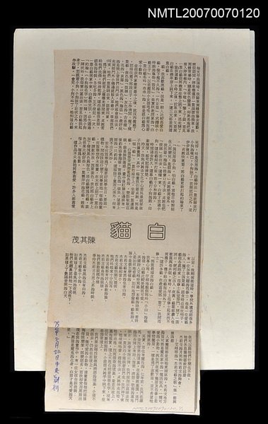 主要標題：白貓/報紙名稱：中央副刊圖檔，第1張，共1張