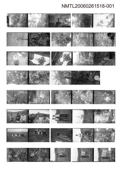 主要名稱：蕭白底片1圖檔，第1張，共1張