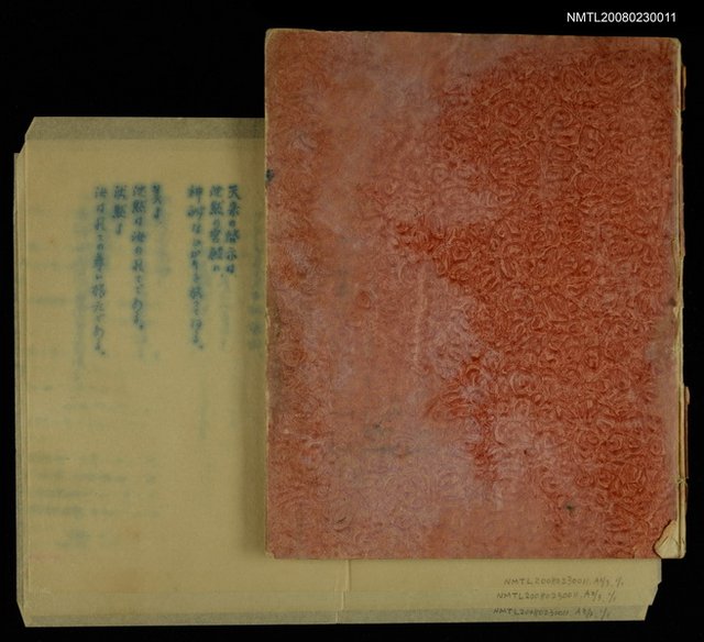 主要名稱：第一詩集《群燕》圖檔，第46張，共49張