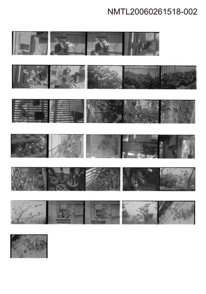 主要名稱：蕭白底片2圖檔，第1張，共1張