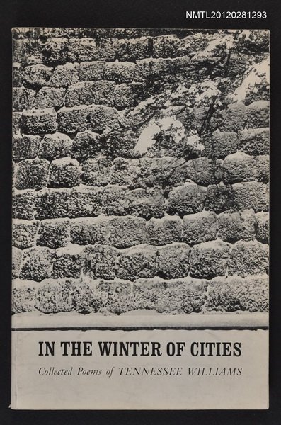 主要名稱：IN THE WINTER OF CITIES圖檔，第1張，共1張