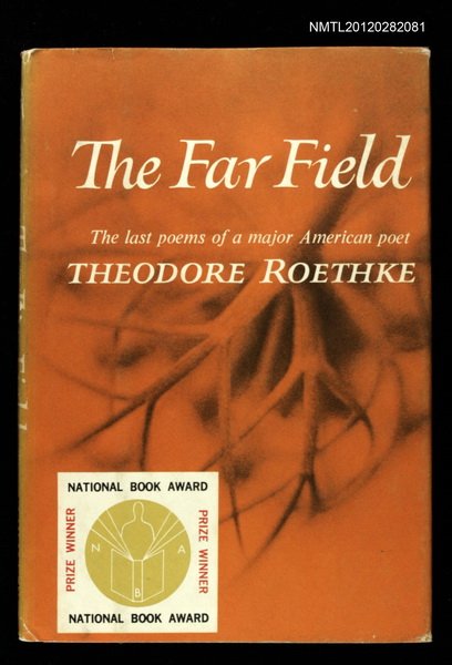 主要名稱：THE FAR FIELD圖檔，第1張，共1張