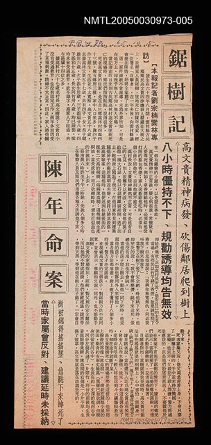 主要標題：鋸樹記陳年命案/報紙名稱：中國時報圖檔，第1張，共1張