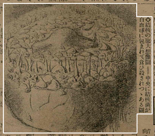 報紙名稱：臺灣新民報 792號（1933-05-06）圖檔，第154張，共185張
