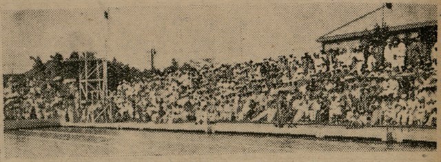 報紙名稱：臺灣新民報 801號圖檔，第77張，共125張