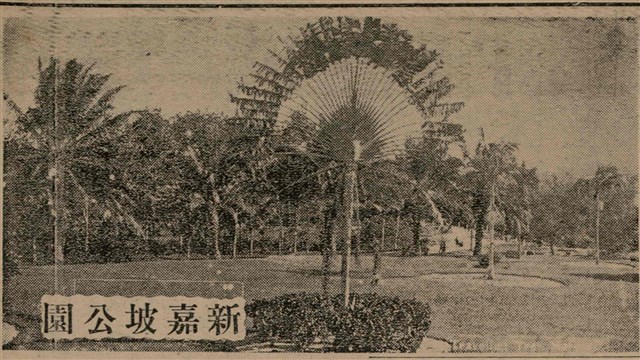 報紙名稱：臺灣新民報 806號圖檔，第66張，共186張