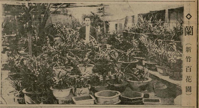 報紙名稱：臺灣新民報 808號（1933-05-22）圖檔，第123張，共129張