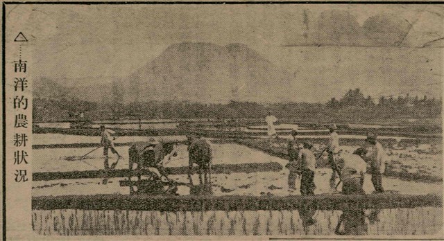 報紙名稱：臺灣新民報 811號圖檔，第180張，共194張