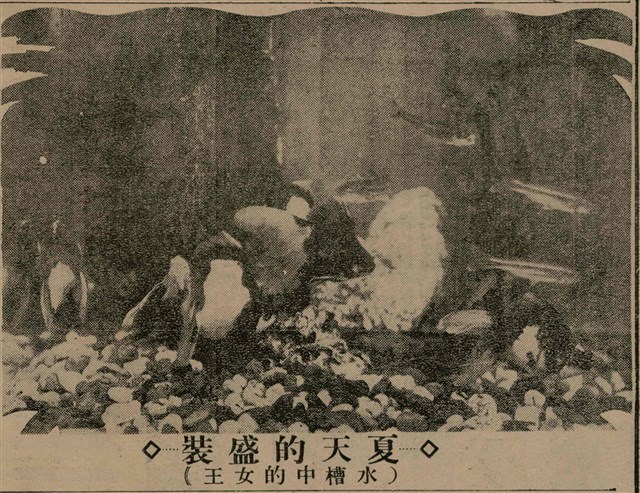 報紙名稱：臺灣新民報 811號圖檔，第193張，共194張