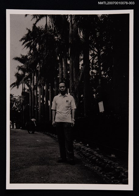 主要名稱：文曉村獨照（戶外，椰子林道旁）圖檔，第1張，共1張