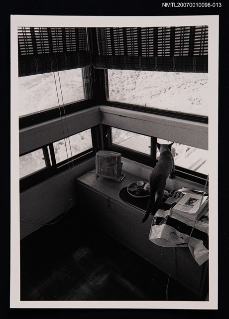 主要名稱：張香華的貓與居家一景（翻拍照）圖檔，第1張，共1張