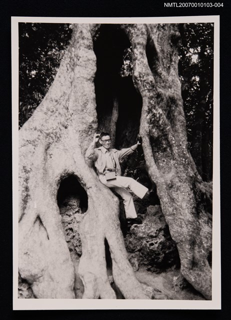 主要名稱：商略獨照（站於樹幹之中）（翻拍照）圖檔，第1張，共1張