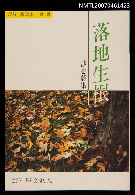 主要名稱：落地生根圖檔，第1張，共1張