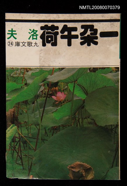 主要名稱：一朵午荷圖檔，第1張，共1張