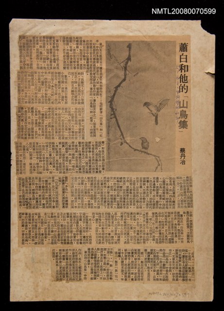 主要標題：蕭白和他的《山鳥集》/報紙名稱：中國時報圖檔，第1張，共1張