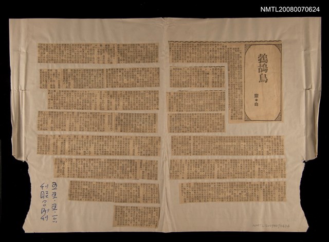 主要標題：鵓鴣鳥/報紙名稱：聯合副刊圖檔，第1張，共1張