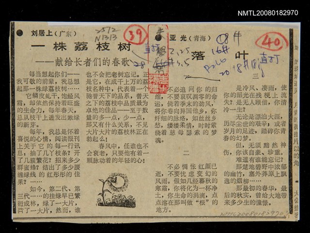 主要標題：一株荔枝樹－獻給長者們的春歌圖檔，第1張，共1張