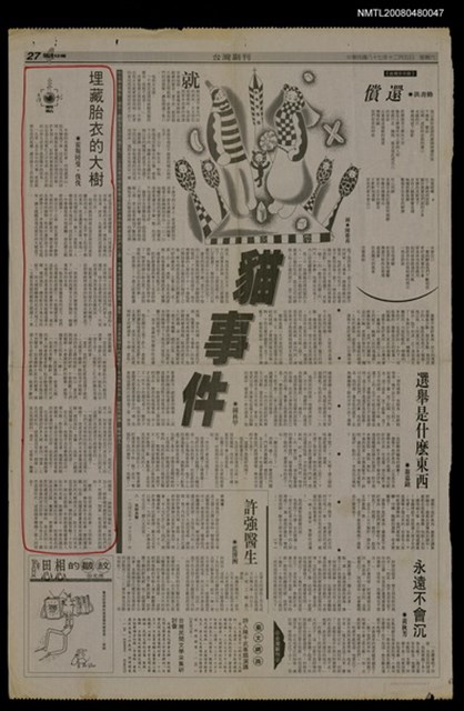 主要標題：埋藏胎衣的大樹/報紙名稱：台灣日報圖檔，第1張，共1張