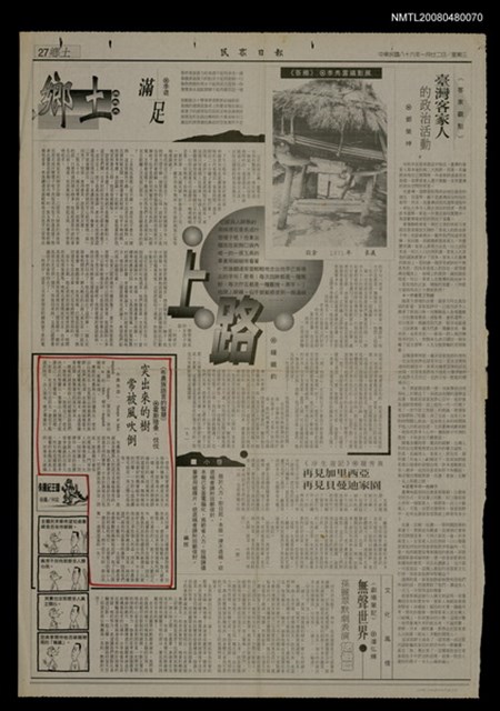 主要標題：突出來的樹，常被風吹倒/報紙名稱：民眾日報圖檔，第1張，共1張