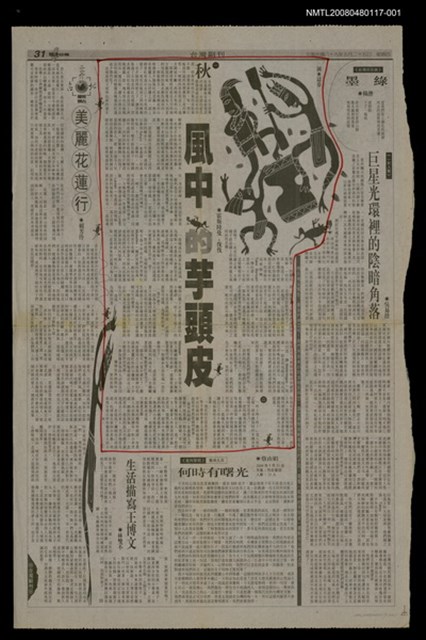 主要標題：風中的芋頭皮（1）/報紙名稱：台灣日報圖檔，第1張，共1張