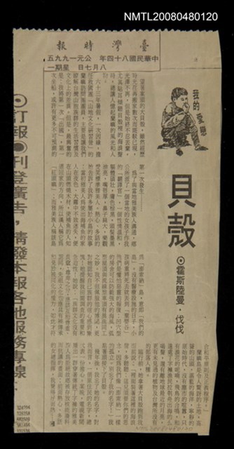 主要標題：貝殼/報紙名稱：臺灣時報圖檔，第1張，共1張
