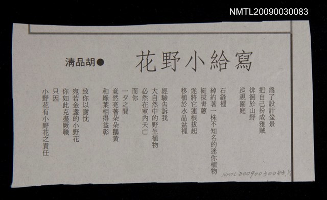 主要標題：寫給小野花圖檔，第1張，共1張